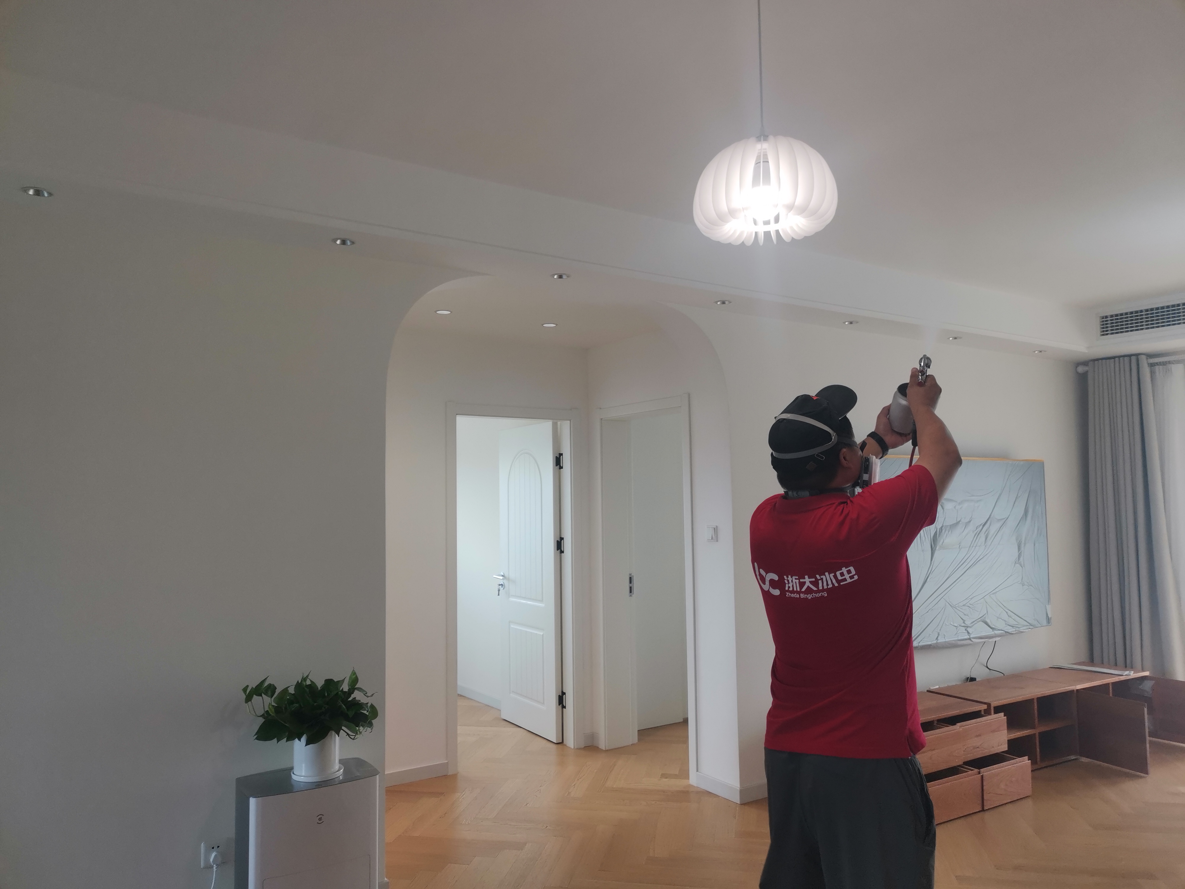 南京冰虫除甲醛工程师