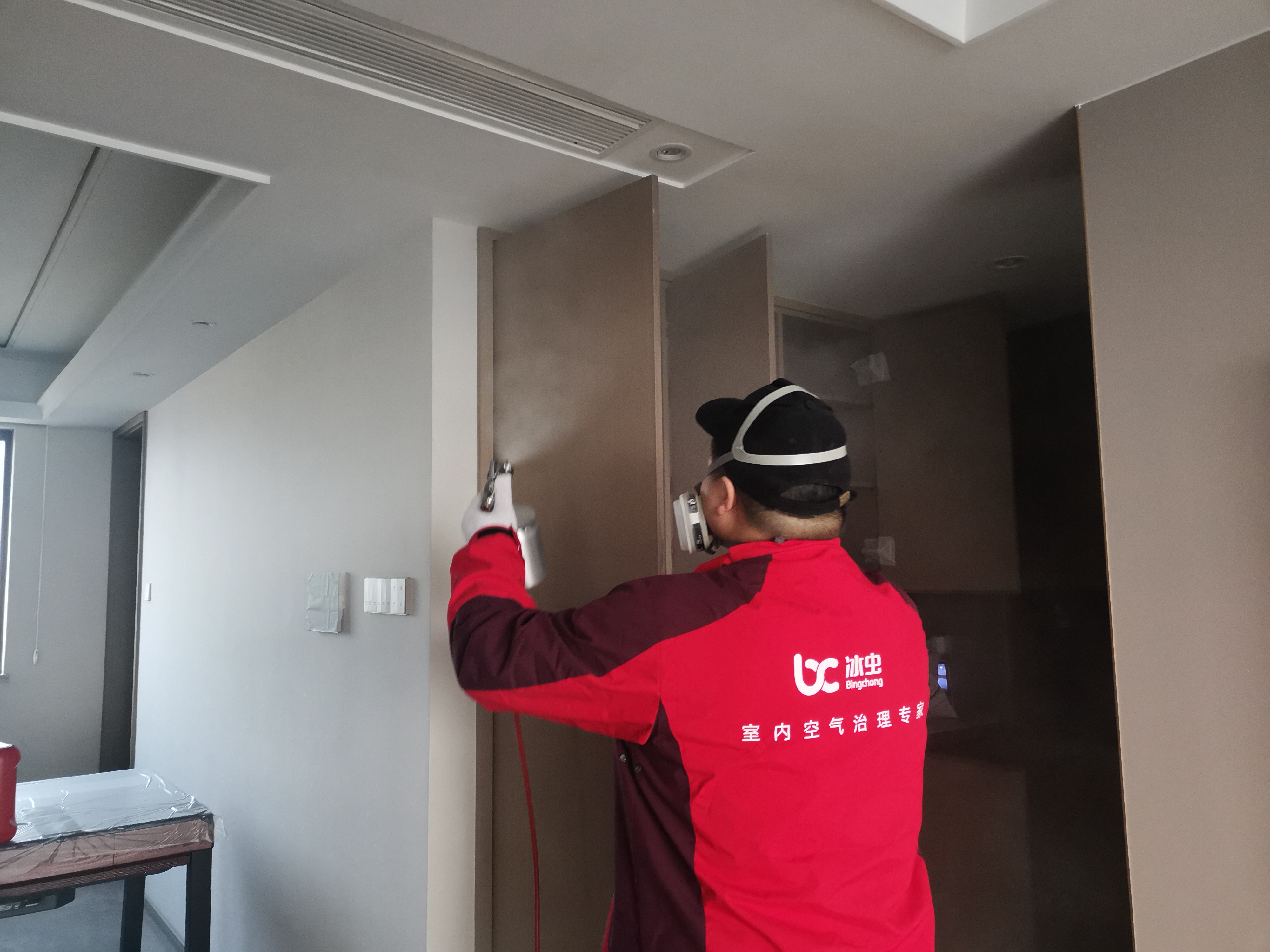 南京冰虫除甲醛专业技